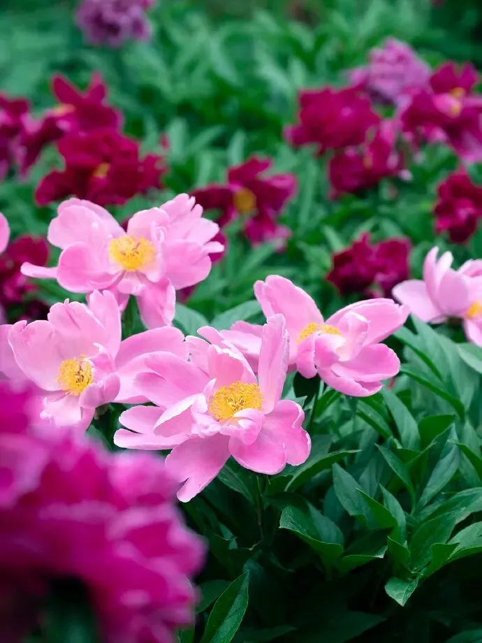 中考改革,谁真轻松了? 第9张