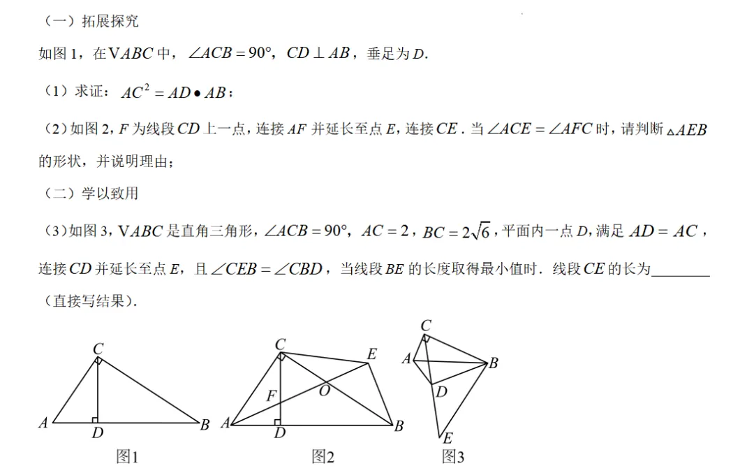 中考冲刺二·专题特训 第14张
