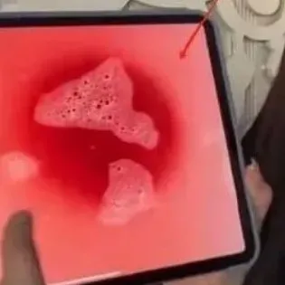 多地宣布生物、地理不再计入中考总分,有人叫好,也有一线老师担忧“如果初中太放松,高中的压力就会增加” | 今年浙江也有新变化 第3张