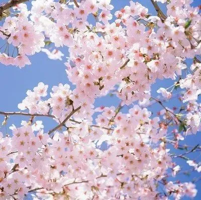 2026年3月高三模拟考试生物试题 第1张