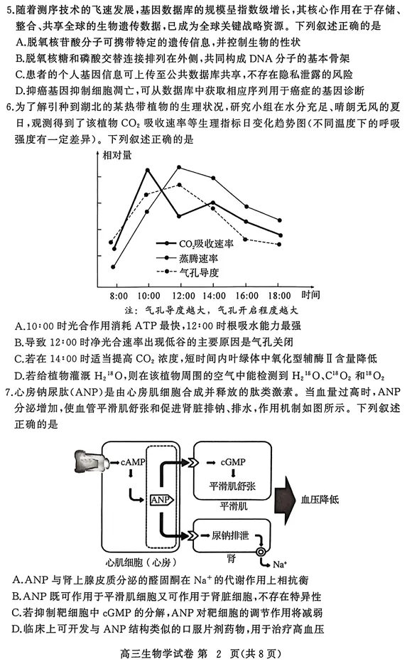 2026年3月黄冈市高三年级3月模拟考试生物试卷 第3张