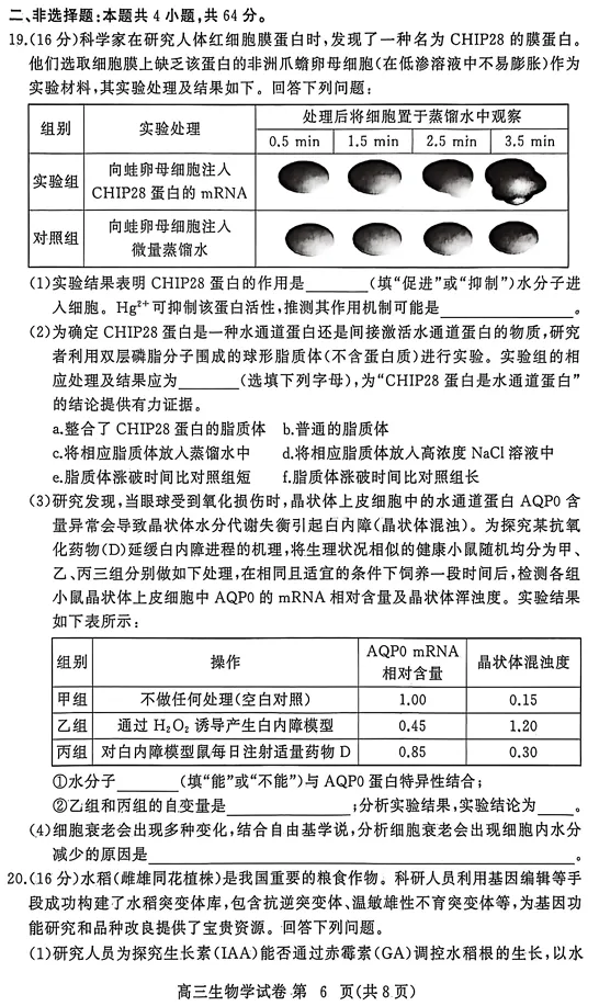 2026年3月黄冈市高三年级3月模拟考试生物试卷 第7张