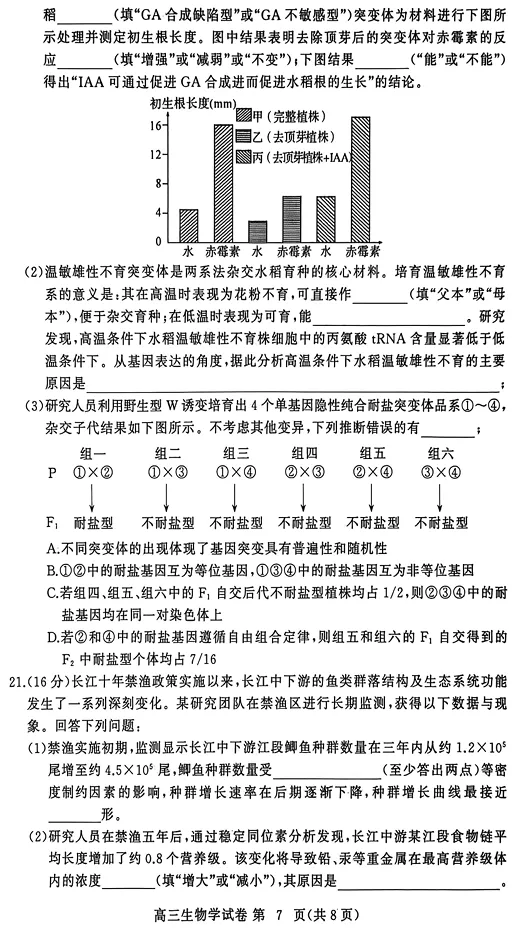 2026年3月黄冈市高三年级3月模拟考试生物试卷 第8张