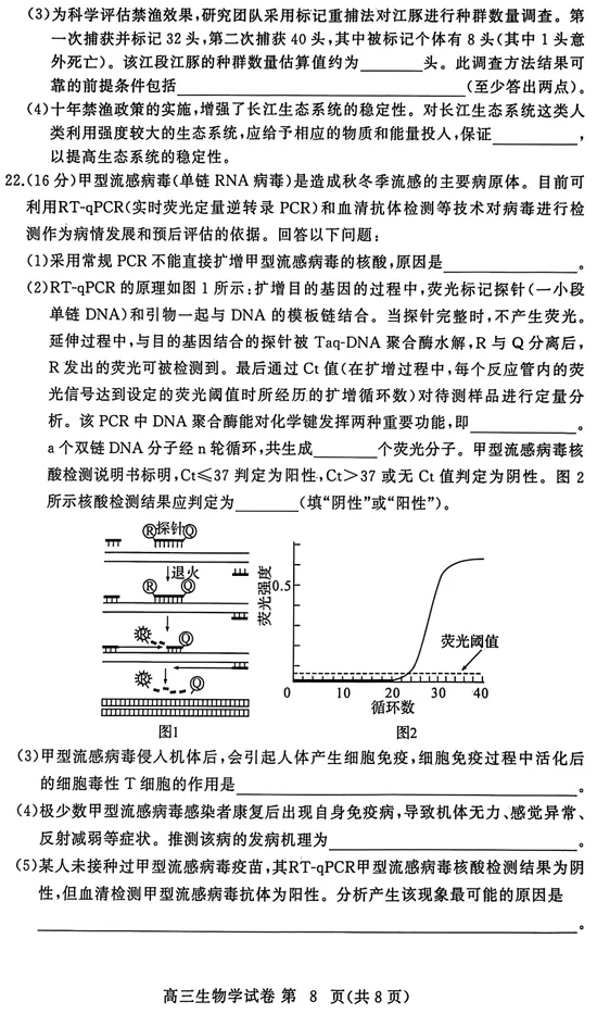 2026年3月黄冈市高三年级3月模拟考试生物试卷 第9张