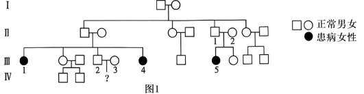 黑龙江省实验中学2026届高三学年联合模拟考试生物学学科试题和解析(附word下载) ⊙ 第12张