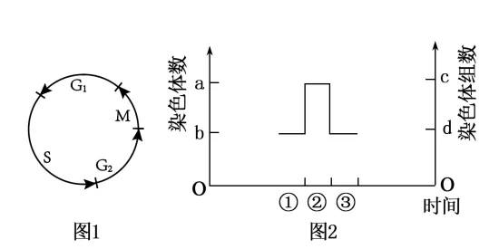 黑龙江省实验中学2026届高三学年联合模拟考试生物学学科试题和解析(附word下载) ⊙ 第18张