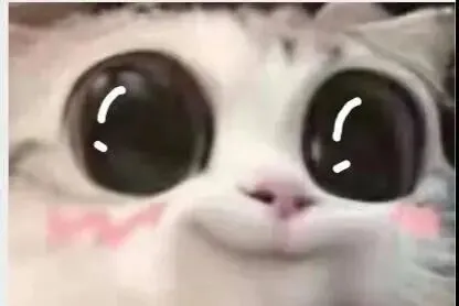 联考倒计时丨2021年安徽美术统考真题出炉. 第3张 联考倒计时丨2021年安徽美术统考真题出炉. 第3张