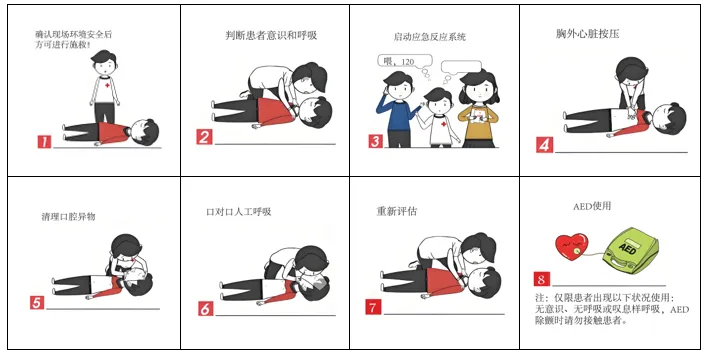 2025年中考真题及模考试题分类汇编-非连续性文本阅读(长沙专用) 第10张