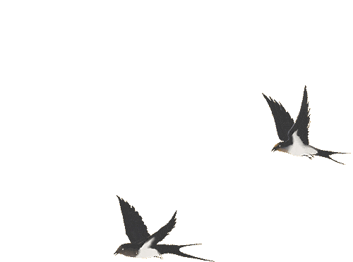 依标固本明方向 凝心聚力备中考 | 洞头区初中英语教研组长及备课组长会议在我校举行 第7张