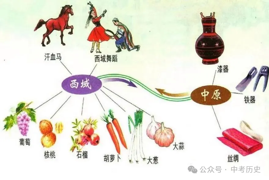 2026年中考历史时事热点押题专练(62个主题) 第8张