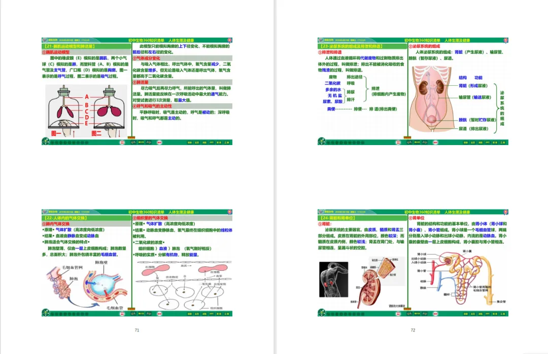 冲刺中考!初中生物提分王炸组合来啦!360° 知识清单 + 专属 Flash 课件 第10张