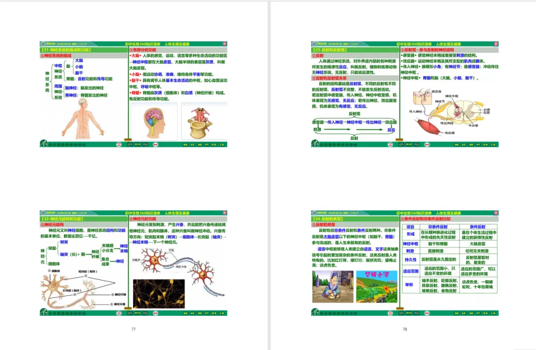 冲刺中考!初中生物提分王炸组合来啦!360° 知识清单 + 专属 Flash 课件 第12张