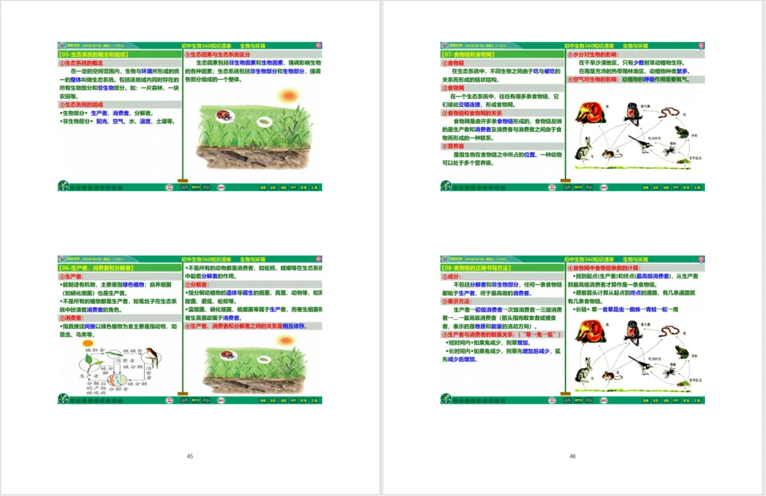 冲刺中考!初中生物提分王炸组合来啦!360° 知识清单 + 专属 Flash 课件 第13张