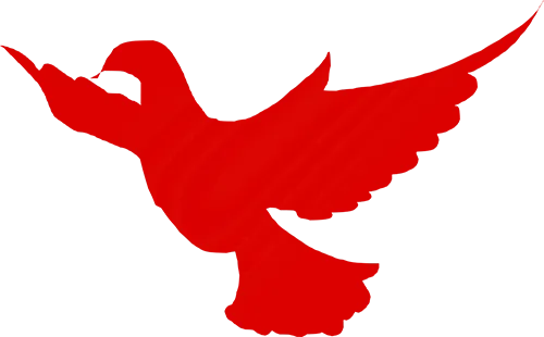 【正心教育】凝心聚力备中考 联研共进提质效——武夷山市第二中学片区教研联合体2026届备考工作会议顺利召开 第4张