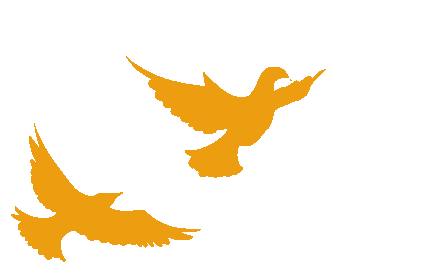 【正心教育】凝心聚力备中考 联研共进提质效——武夷山市第二中学片区教研联合体2026届备考工作会议顺利召开 第18张