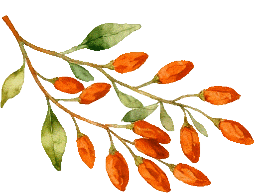 杏坛蓓言|十二名著·中考作文素材库(一) 第14张