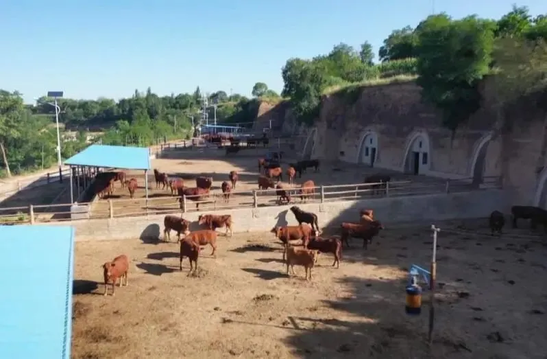 高考真题分类汇编(2023-2025)|专题13 区域发展 第14张