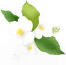 中考英语 | 2026河北中考英语必备基础知识汇总 第9张