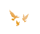 马踏长风 决胜中考——响水县七套中学举办2026年励志成长大会 第9张