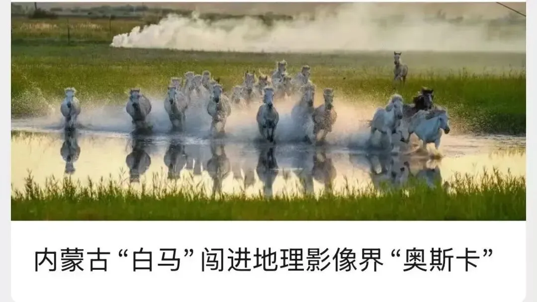 涉案百万!专骗留学生,AI造假 “内部真题” 第7张