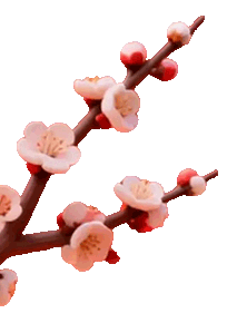 百日冲刺战中考,不负韶华铸辉煌 第3张