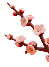 百日冲刺战中考,不负韶华铸辉煌 第4张