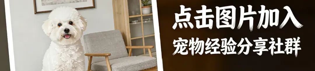 2026返郑中考学生信息采集时间已定!附返郑中考信息采集入口→ 第9张