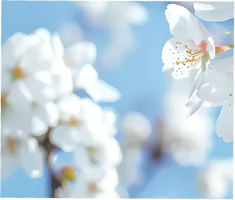 【老师寄语】在中考百日冲刺誓师大会上的讲话 第3张