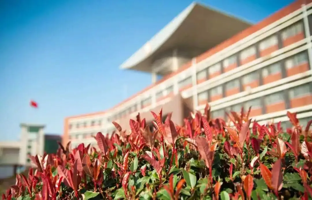 【老师寄语】在中考百日冲刺誓师大会上的讲话 第4张