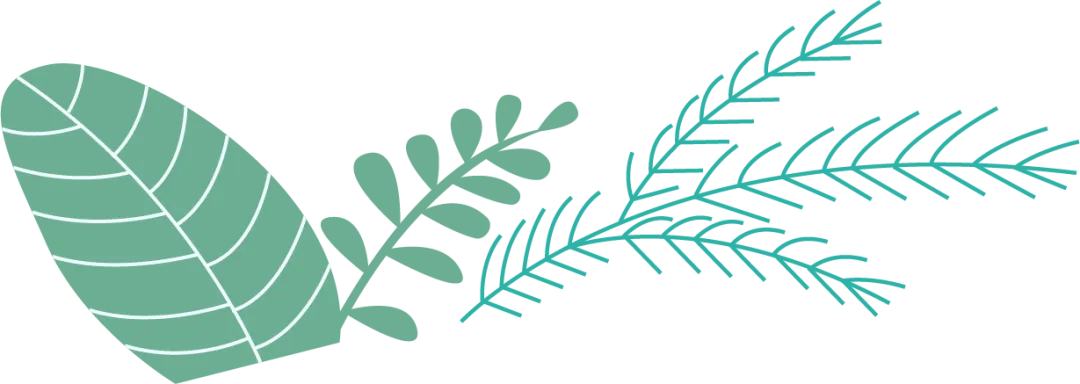 2603GESP真题录入完毕,快来练习吧~ 第1张