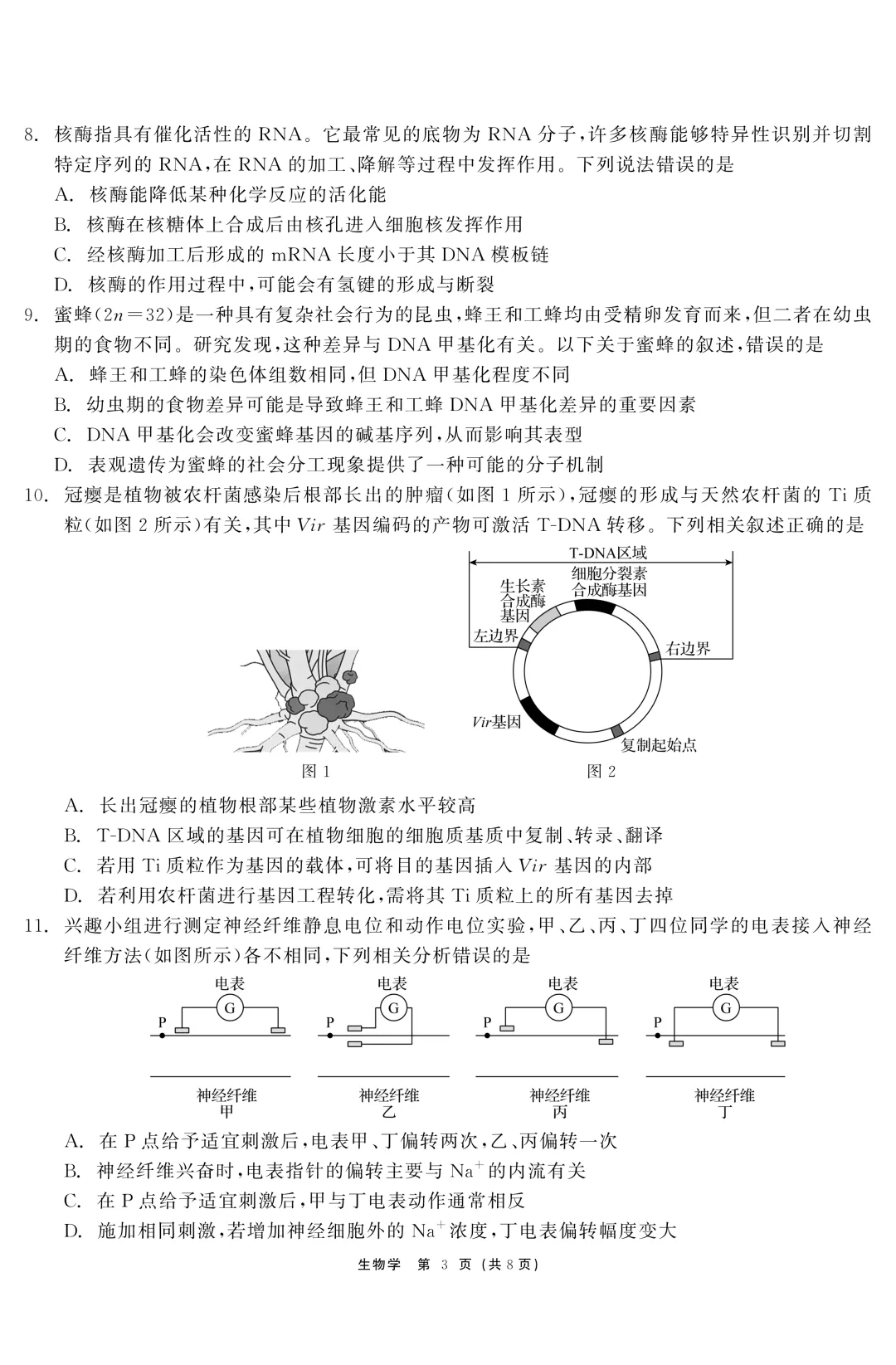 黑龙江省齐齐哈尔市2026届高三第一次模拟考试生物学科试题及答案 第5张