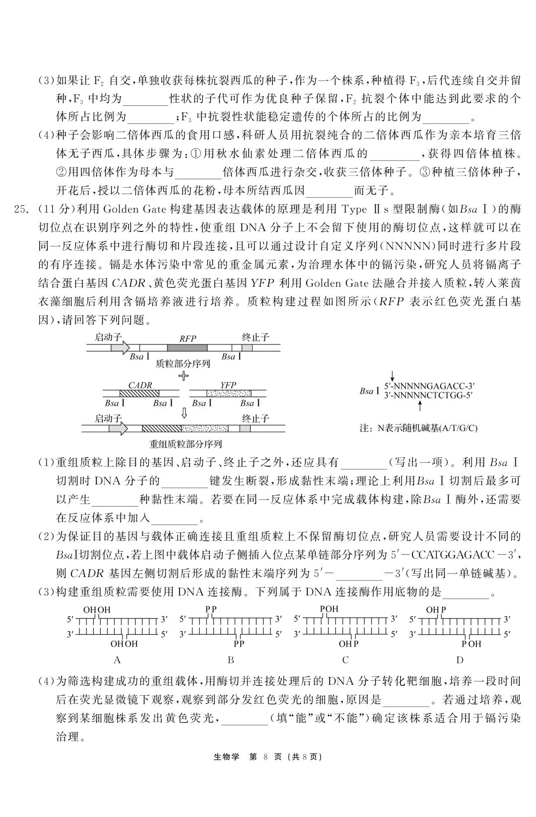 黑龙江省齐齐哈尔市2026届高三第一次模拟考试生物学科试题及答案 第10张
