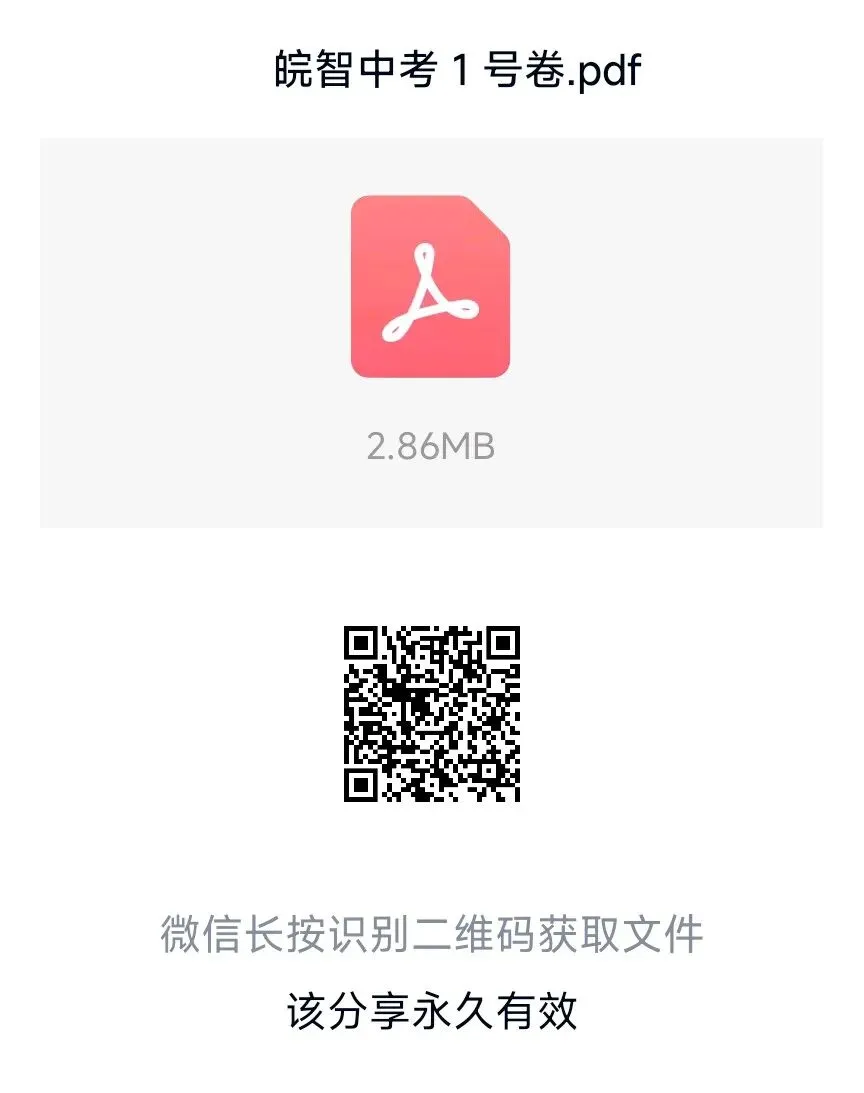 2026 年 皖智中考 1 号卷(仿真卷) 第5张