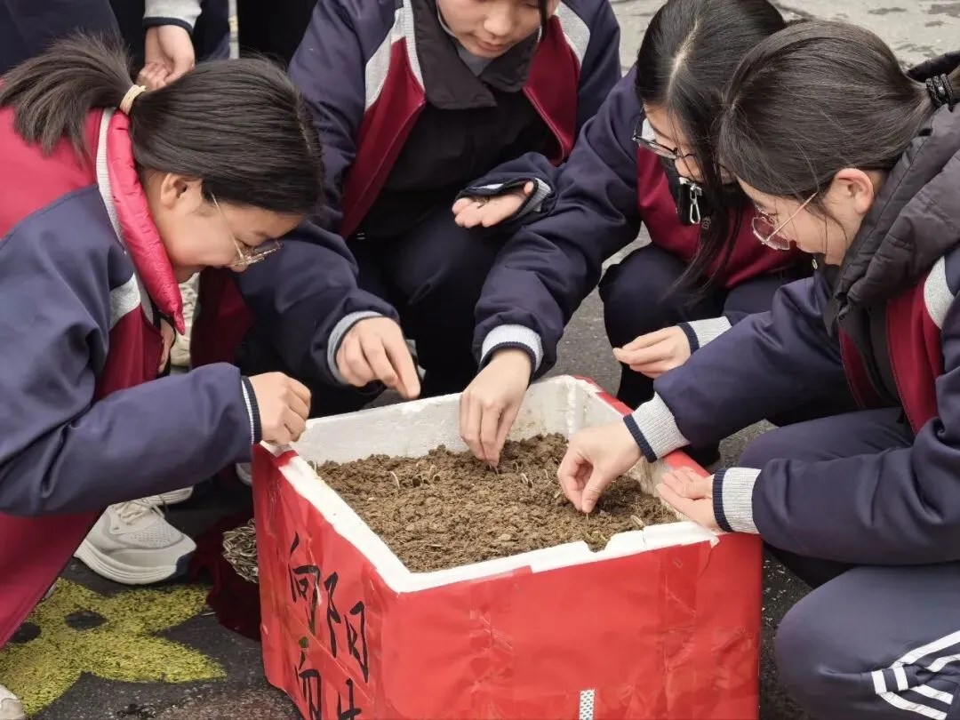 【中考动员大会】龙抬头乘风破万里浪 ,马奋蹄昂首跃九重门 第87张