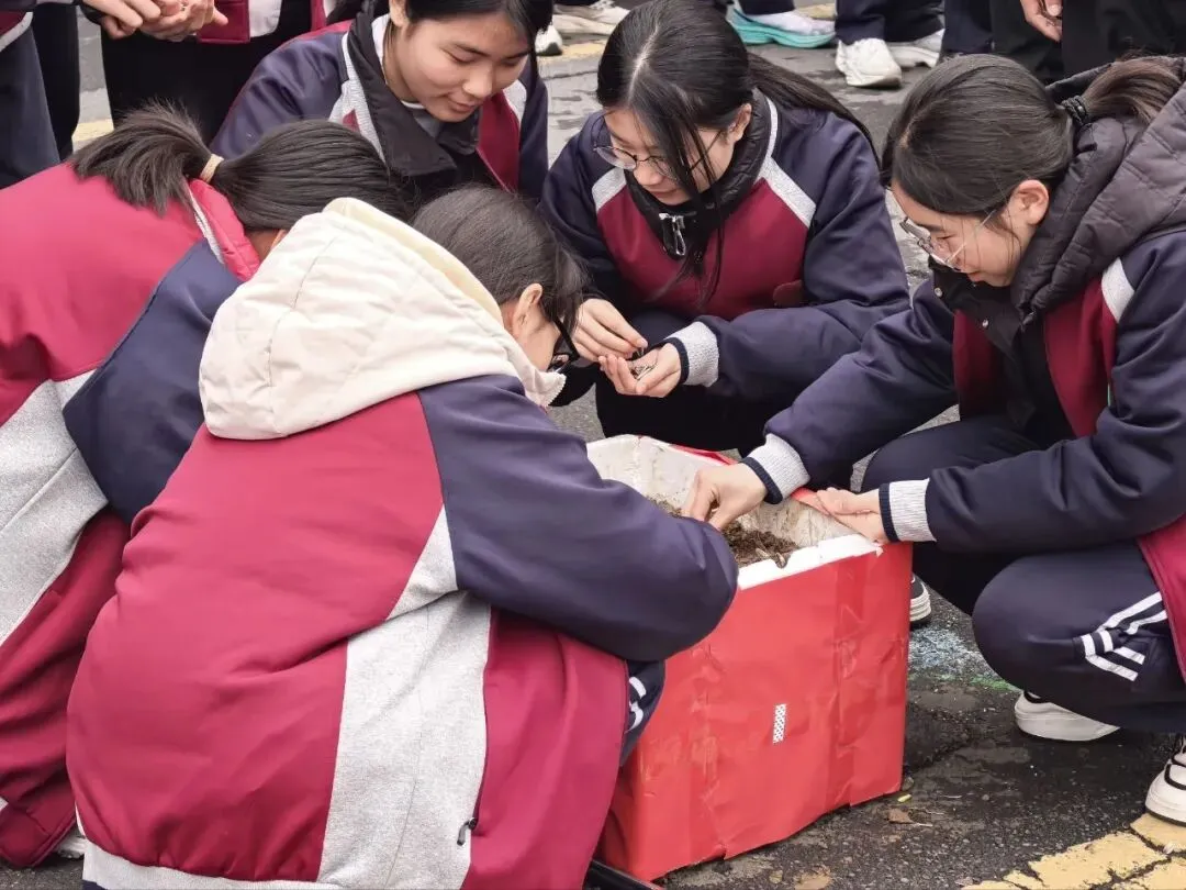 【中考动员大会】龙抬头乘风破万里浪 ,马奋蹄昂首跃九重门 第88张