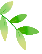 精研审题技巧 赋能中考写作——我校成功举办九年级英语情境作文审题指导区公开课 第2张