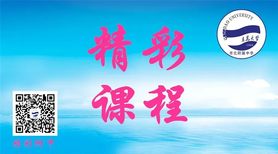 “三化”赋能,备战中考—青大市北附中数学组主题教研活动展示 第2张