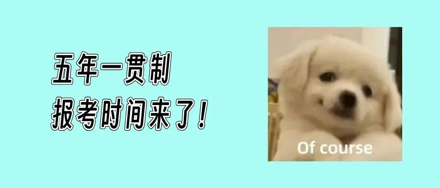 2026年深圳中考报名程序开启,着手准备相关材料! 第10张