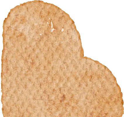 深研课堂提效能 精准视导助中考——牡丹区教科研中心视导长城学校初三年级教学工作 第58张