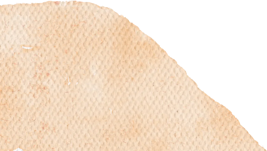 深研课堂提效能 精准视导助中考——牡丹区教科研中心视导长城学校初三年级教学工作 第78张