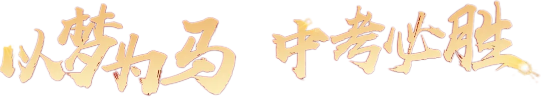 百日誓师启新程,逐梦中考铸辉煌——新郑双语学校九年级中考誓师大会圆满举行 第7张