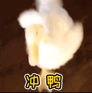 zyz老师雅思阅读+听力真题机考网页版,存下吧!很难好全 第2张