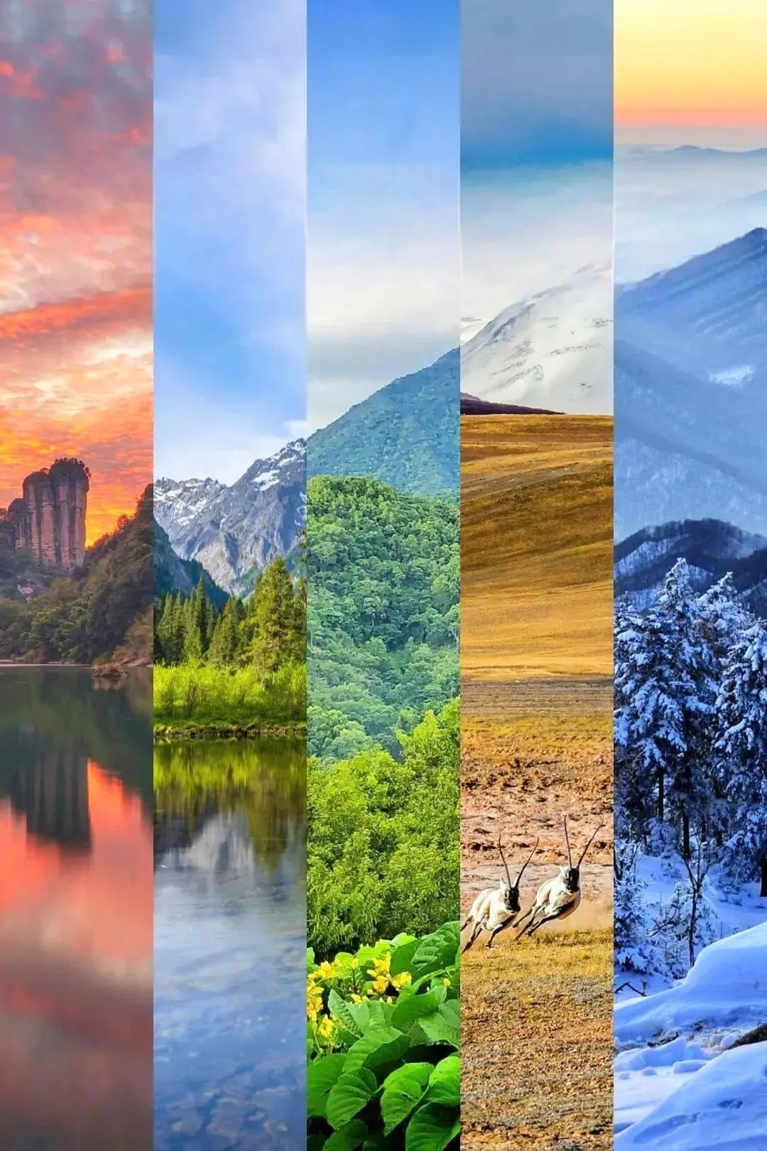 家长注意!中考这两科不计分,可能是在给高中“挖坑” 第1张