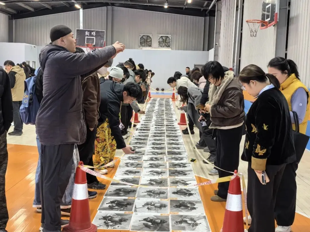 2026河北省中考美术第二次模拟考试试卷分析会(附高分试卷) 第16张