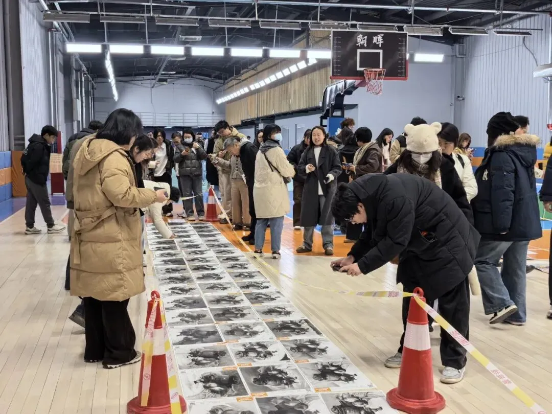 2026河北省中考美术第二次模拟考试试卷分析会(附高分试卷) 第17张