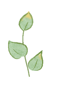 聚焦真题寻规律,精准施策备中考——青岛三十七中语文组开展中考备考研讨活动 第11张