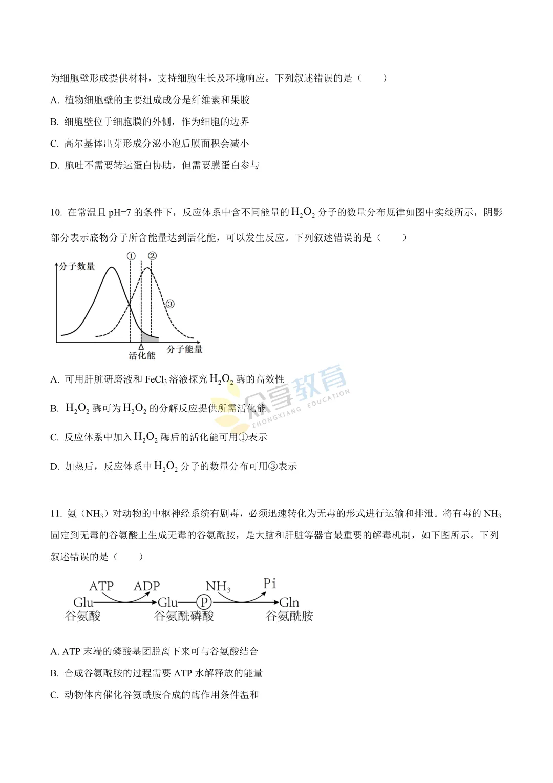 【高一试卷】河南新未来2025-2026学年高一下学期3月测评试卷及答案(9科全,可下载) 第52张