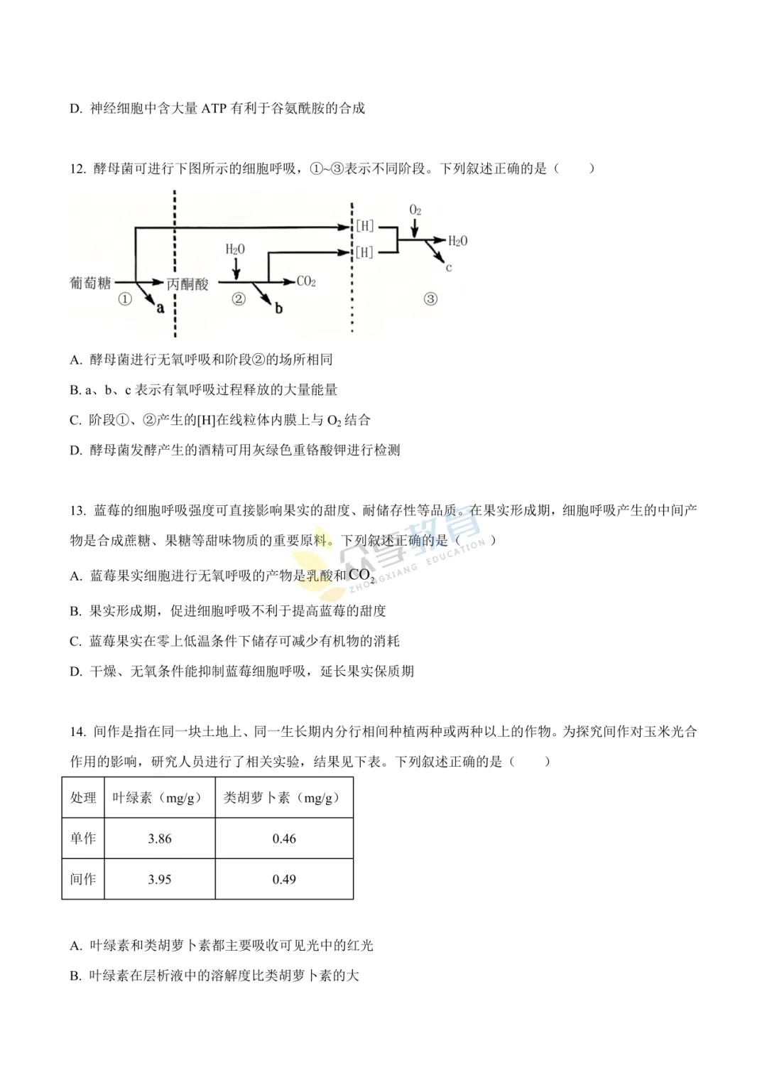 【高一试卷】河南新未来2025-2026学年高一下学期3月测评试卷及答案(9科全,可下载) 第53张