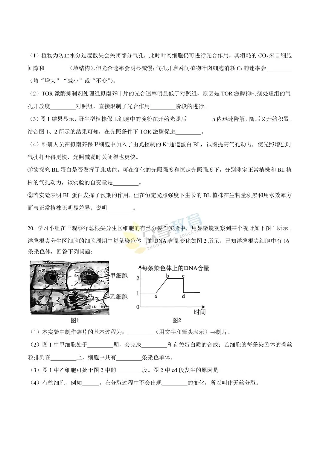 【高一试卷】河南新未来2025-2026学年高一下学期3月测评试卷及答案(9科全,可下载) 第56张