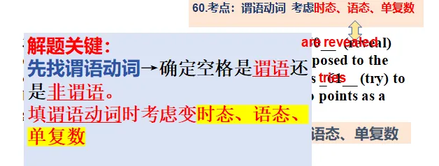 语法填空优质课PPT:2025高考真题,和浙江高考卷,县二轮专题研讨. 第3张
